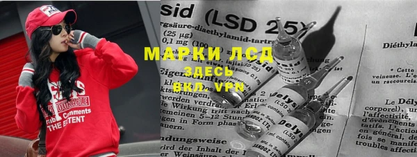 a pvp Аркадак